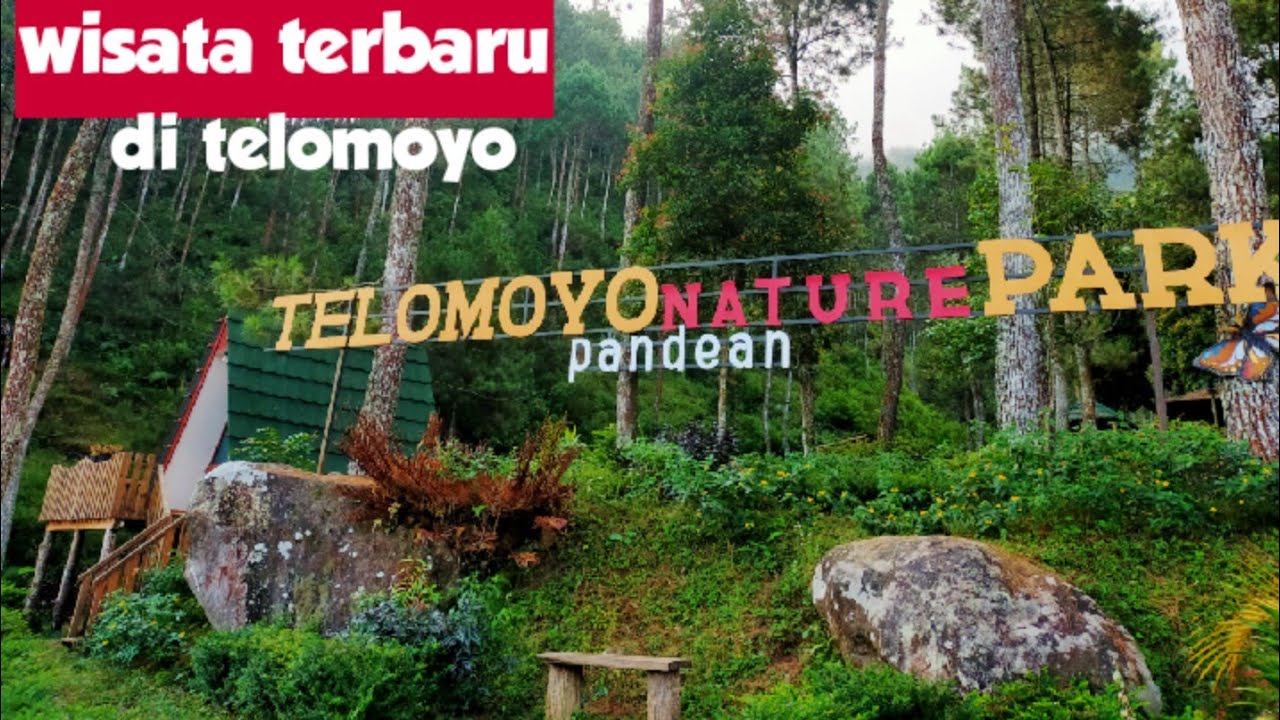 Telomoyo Nature Park: Destinasi Wisata Alam yang Eksotis